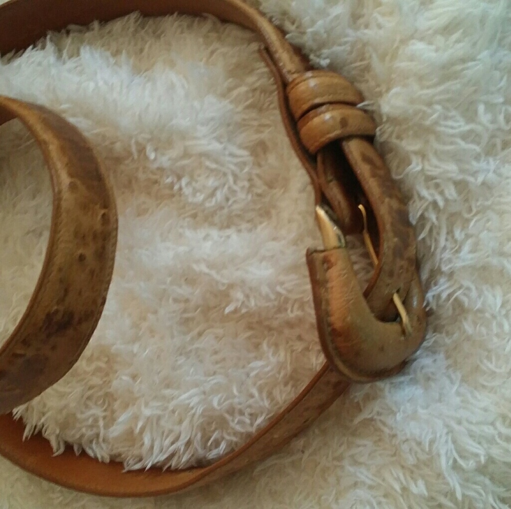 Joan&David Belt